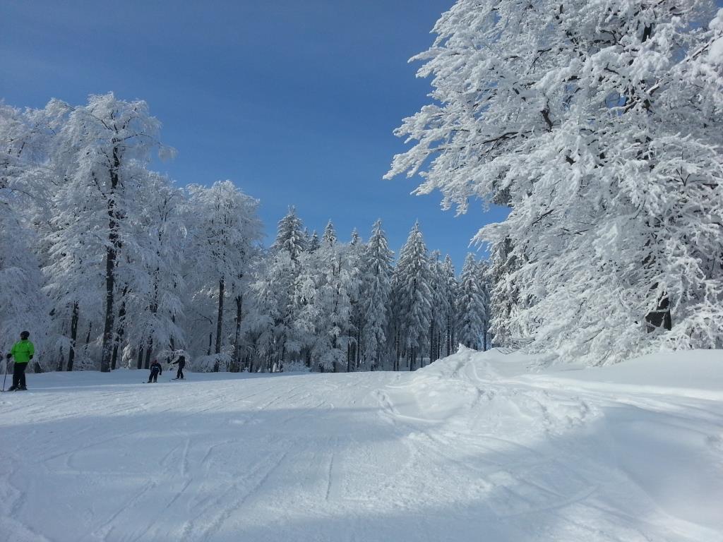 Boehmerwald Pur2 Klaffer am Hochficht Extérieur photo